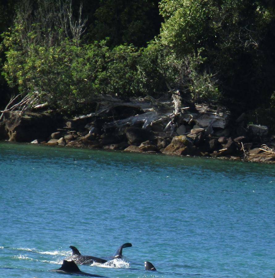 Anchorage Motel Whitianga Esterno foto